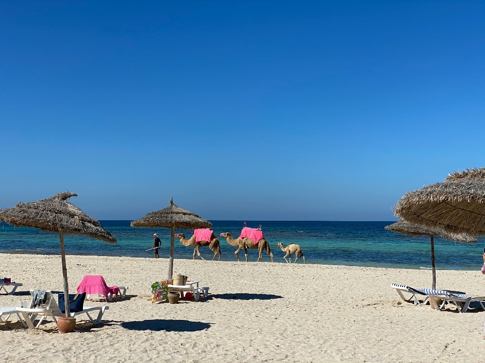 Tunisia Grand Tour: dalle rovine romane al deserto