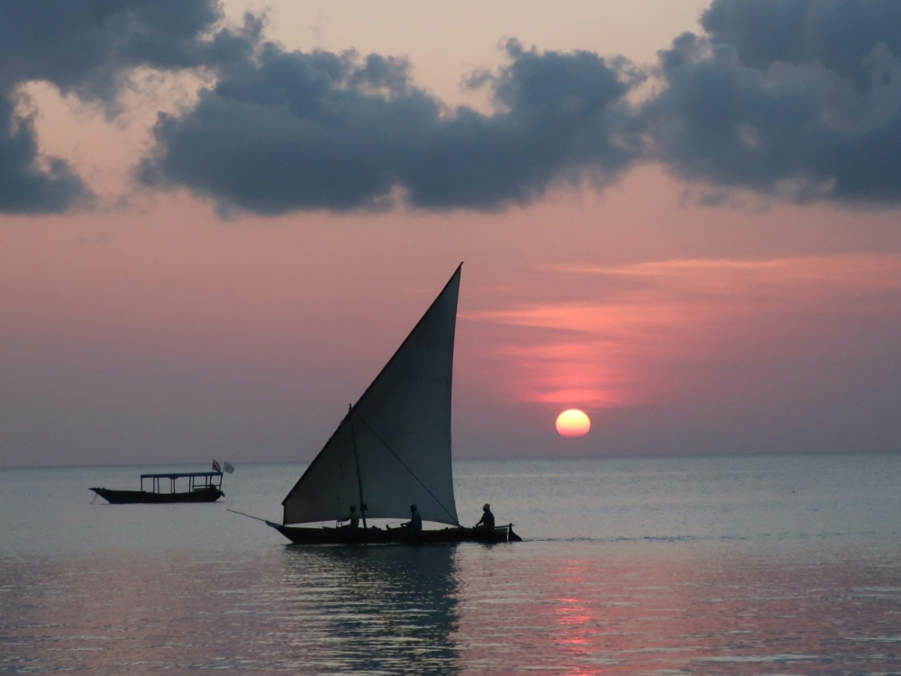 Tanzania Experience: dalla savana all’oceano di Zanzibar