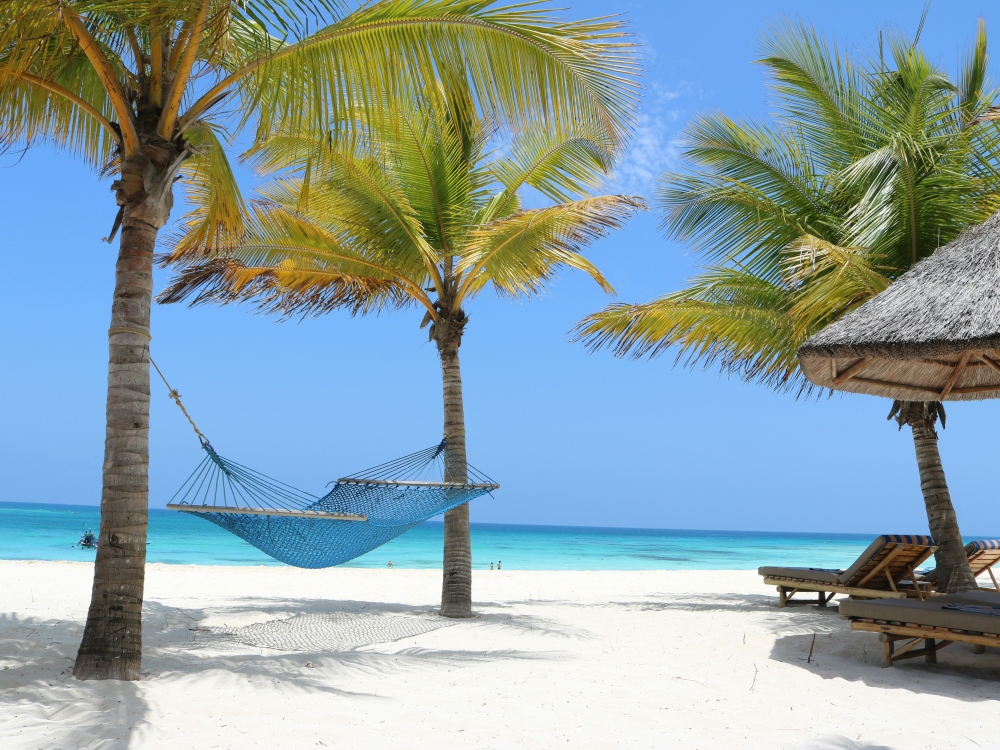 Tanzania Experience: dalla savana all’oceano di Zanzibar