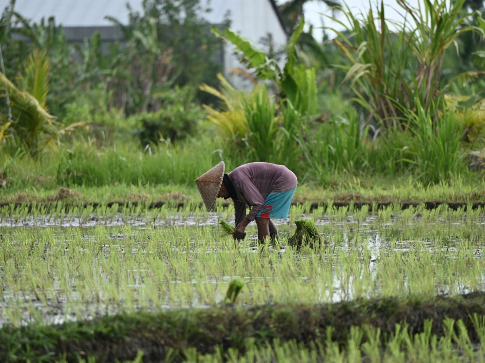 Bali: Spirito, Mare e Meraviglia