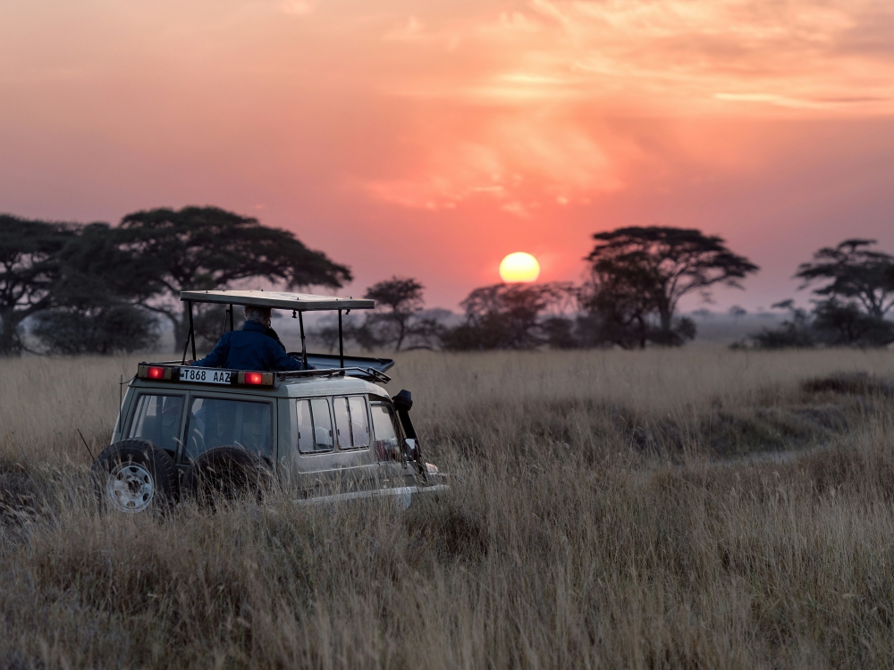 Tanzania Experience: dalla savana all’oceano di Zanzibar