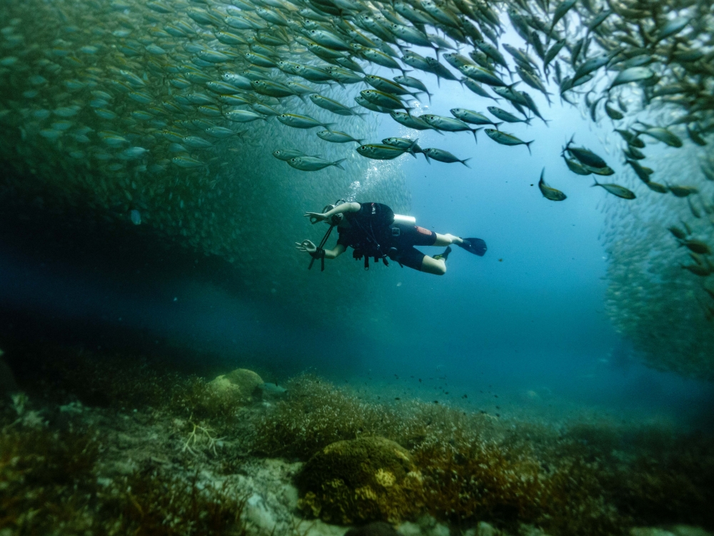 Thailandia: Bangkok e Koh Tao - diving & discovery