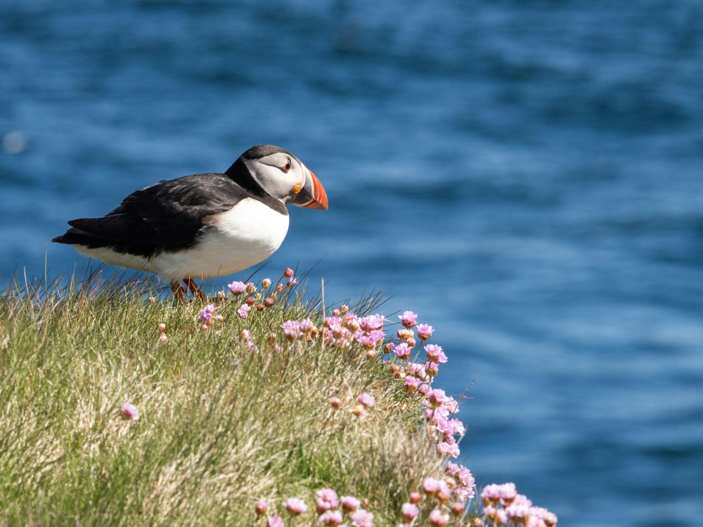 Lofoten: viaggio tra le meraviglie del nord norvegese