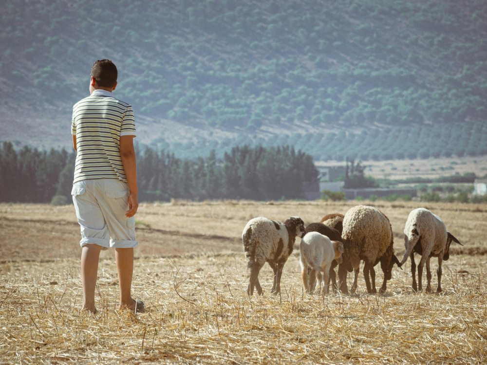 Tunisia Grand Tour: dalle rovine romane al deserto