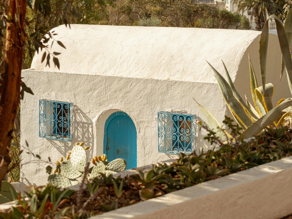 Tunisia Grand Tour: dalle rovine romane al deserto