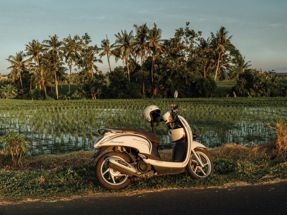Canggu, Gili Trawangan, Ubud — tre Bali distinte
