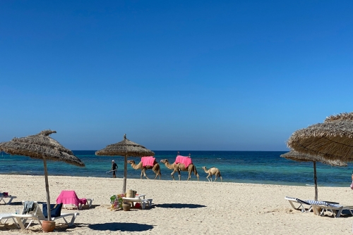 Tunisia Grand Tour: dalle rovine romane al deserto