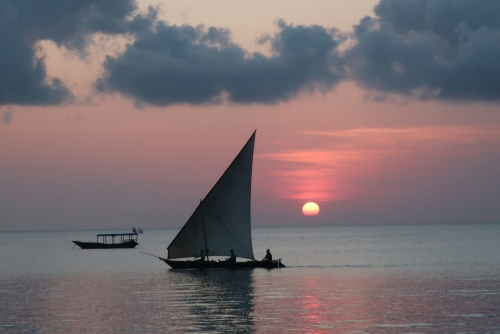 Tanzania Experience: dalla savana all’oceano di Zanzibar