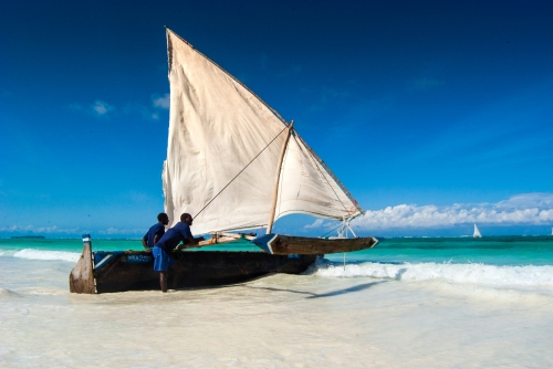 Tanzania Experience: dalla savana all’oceano di Zanzibar