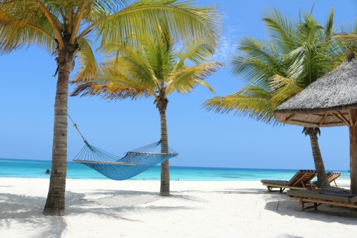 Tanzania Experience: dalla savana all’oceano di Zanzibar