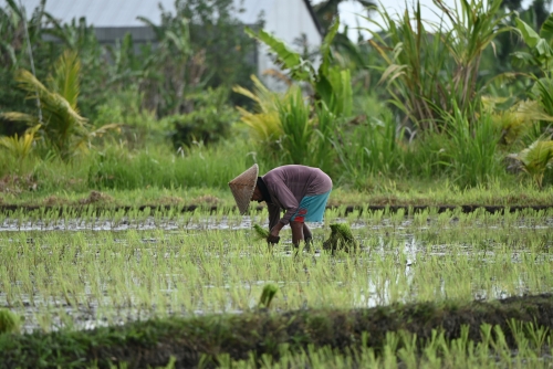 Bali: Spirito, Mare e Meraviglia