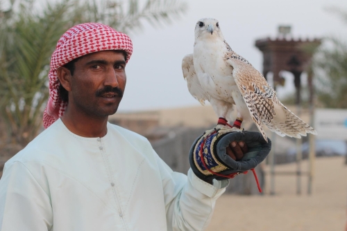 Meraviglie del Golfo Arabico: Qatar, Emirati e Oman