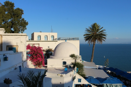 Tunisia Grand Tour: dalle rovine romane al deserto