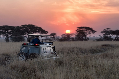 Tanzania Experience: dalla savana all’oceano di Zanzibar