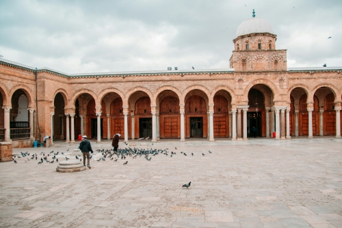 Tunisia Grand Tour: dalle rovine romane al deserto
