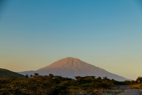 Tanzania Experience: dalla savana all’oceano di Zanzibar