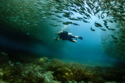 Thailandia: Bangkok e Koh Tao - diving & discovery
