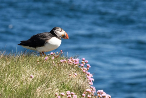 Lofoten: viaggio tra le meraviglie del nord norvegese
