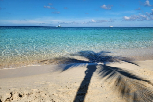 Crociera Indimenticabile nei Caraibi e Antille Tropicali