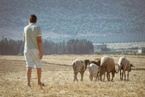 Tunisia Grand Tour: dalle rovine romane al deserto