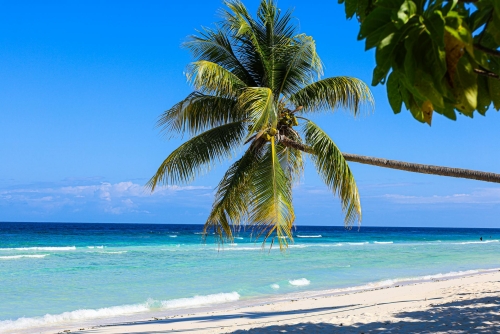Crociera Indimenticabile nei Caraibi e Antille Tropicali