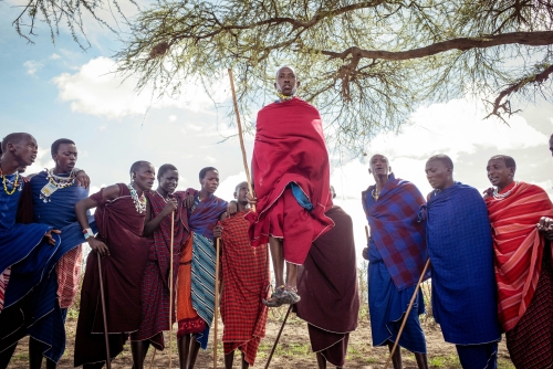Tanzania Experience: dalla savana all’oceano di Zanzibar